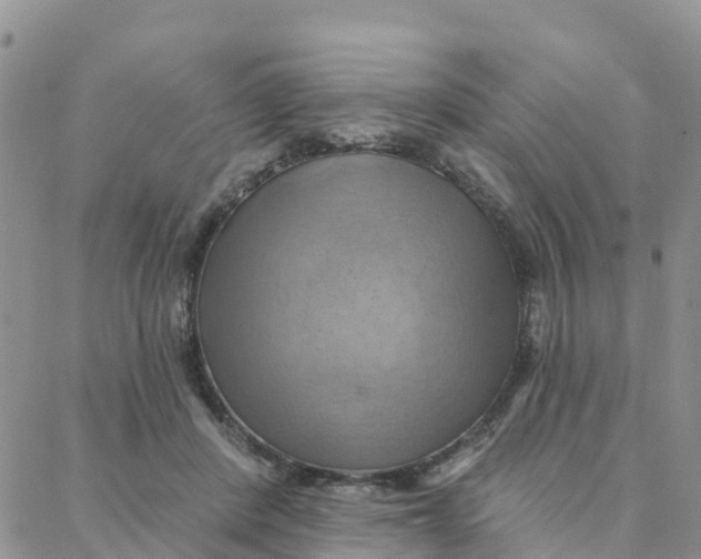 X0000088380408200706121150