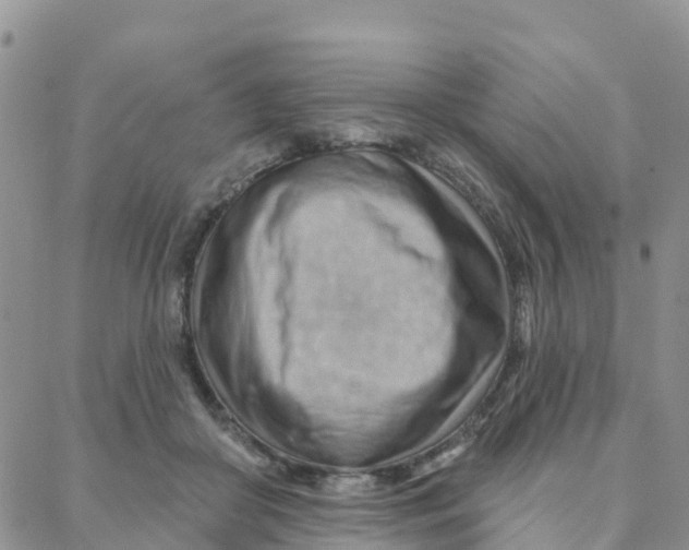 X0000088380410200706121150