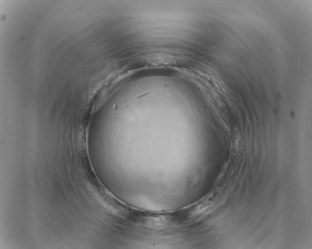 X0000088380411200706121150