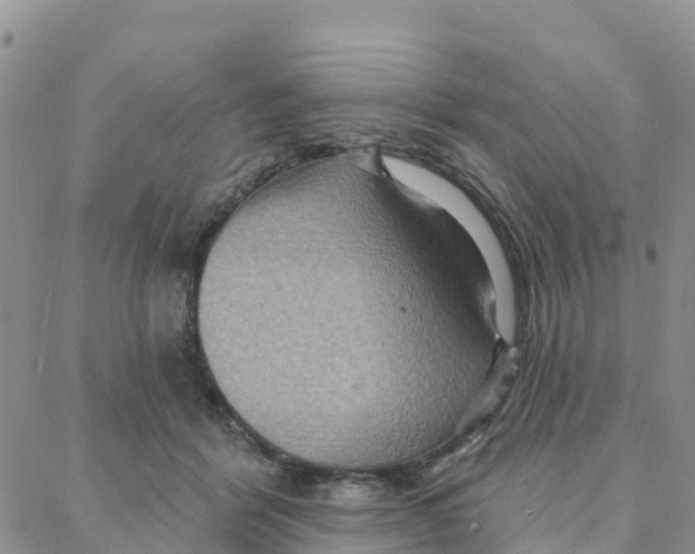 X0000088380412200706121150