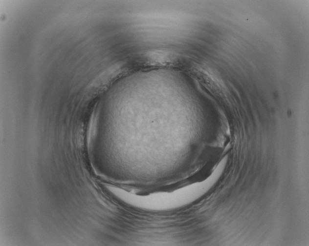 X0000088380413200706121150