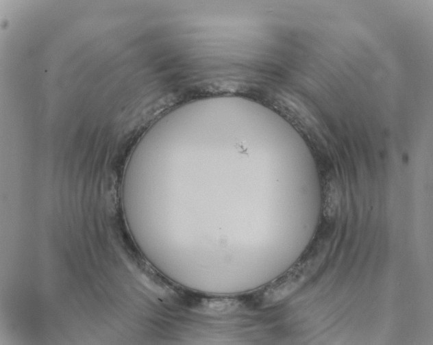 X0000088380414200706121150