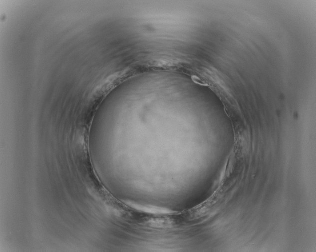 X0000088380415200706121150