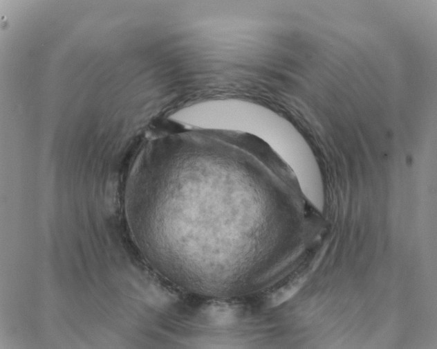 X0000088380416200706121150