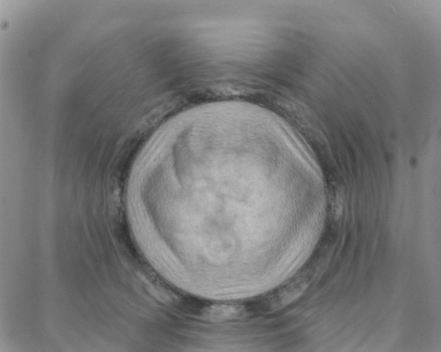 X0000088380418200706121150