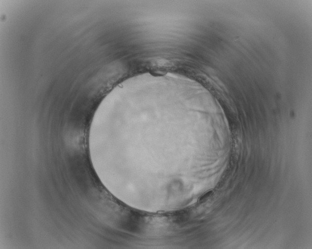 X0000088380419200706121150