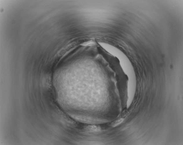 X0000088380421200706121150