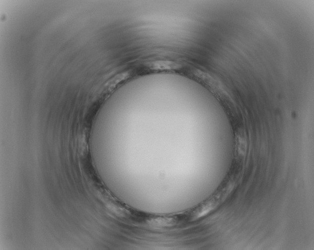 X0000088380422200706121150