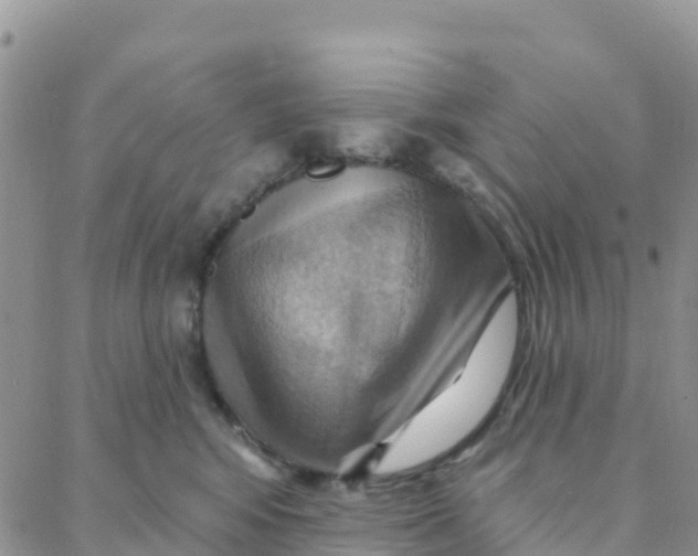 X0000088380424200706121150