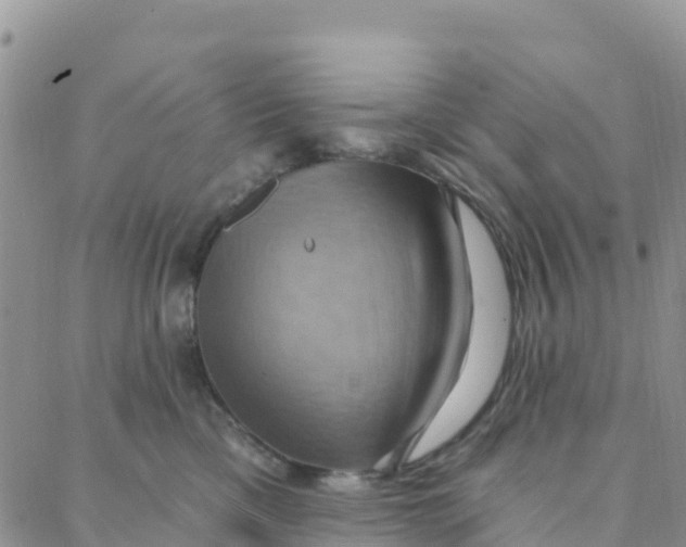 X0000088380425200706121150