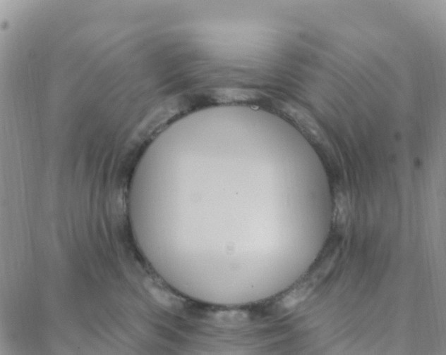 X0000088380426200706121150