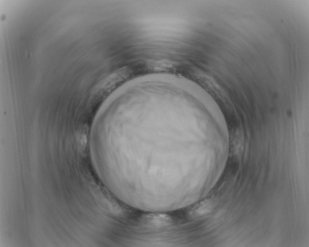 X0000088380427200706121150