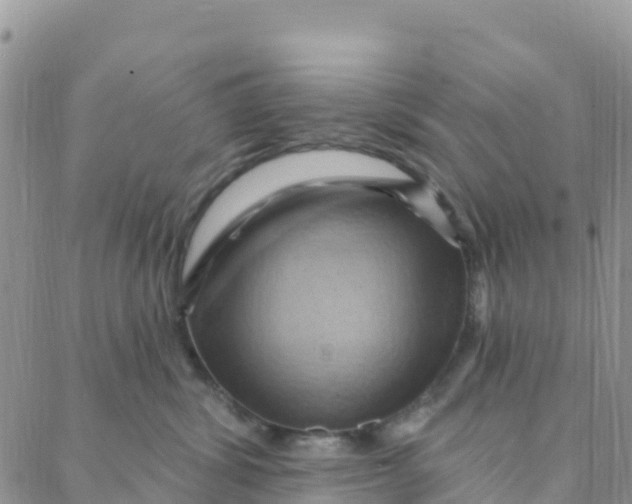 X0000088380428200706121150