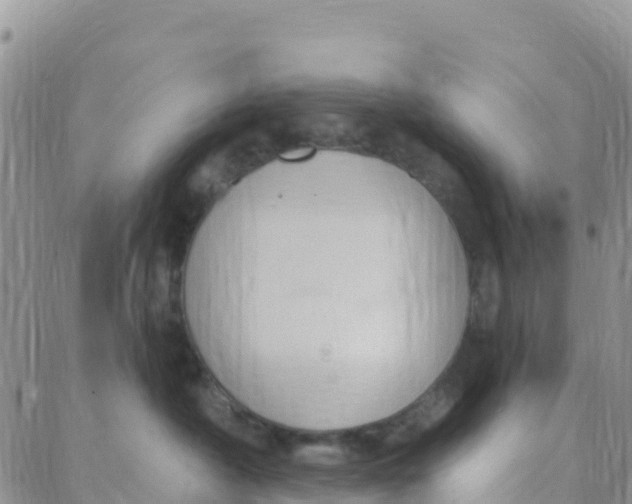 X0000088380430200706121150