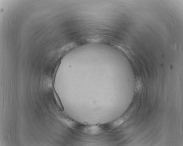 X0000088380431200706121150