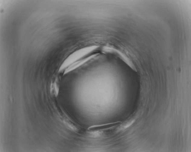 X0000088380432200706121149