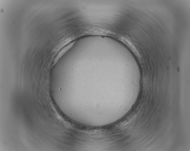 X0000088380433200706121149