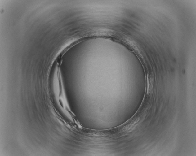 X0000088380435200706121149