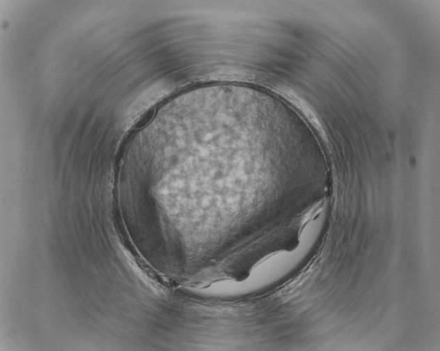 X0000088380437200706121149