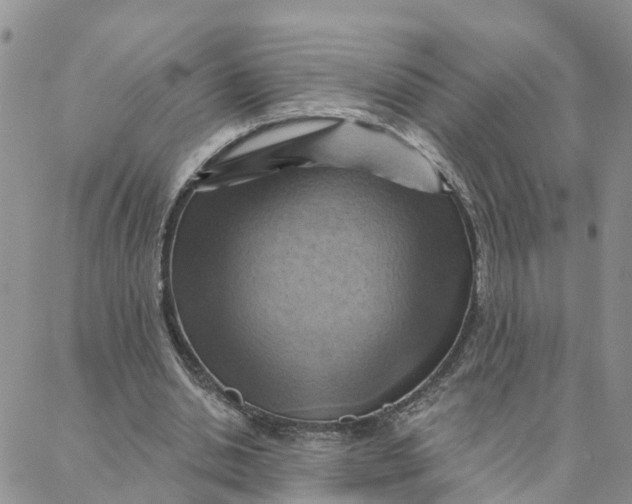 X0000088380438200706121149