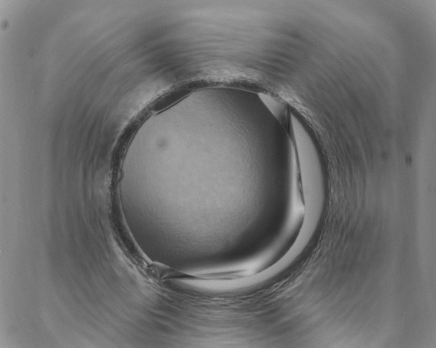 X0000088380440200706121149