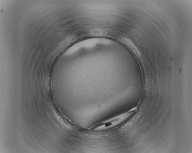 X0000088380441200706121149