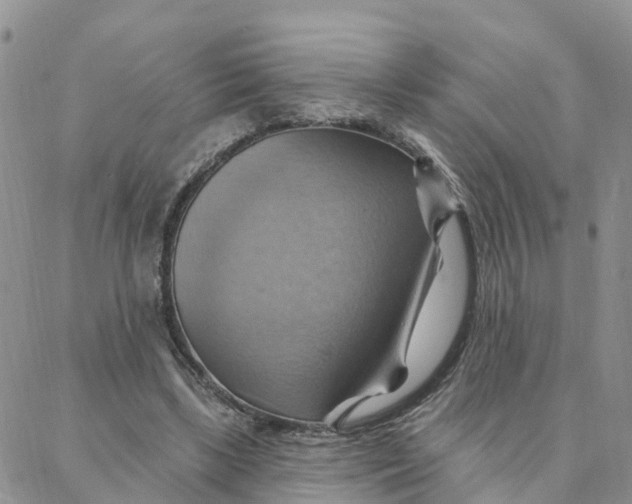 X0000088380443200706121149