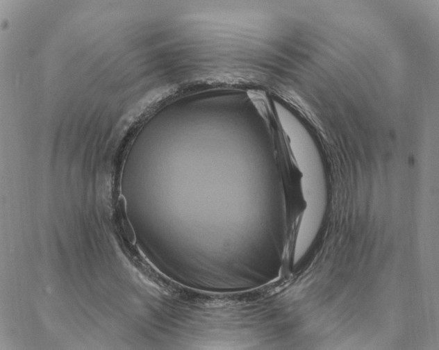 X0000088380444200706121149