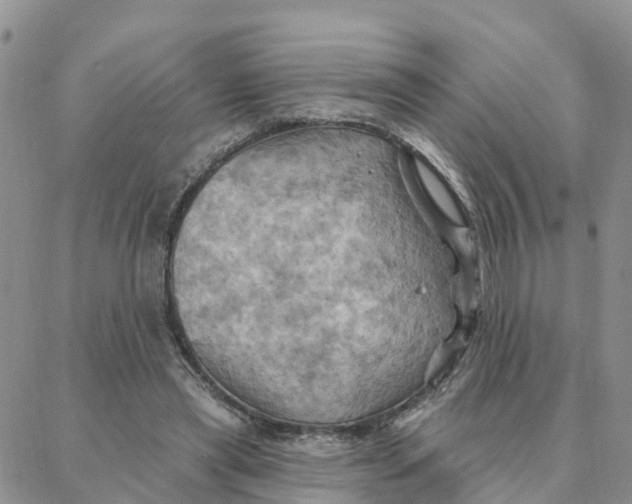 X0000088380445200706121149