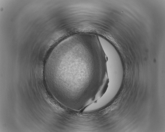 X0000088380446200706121149