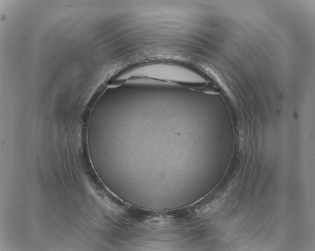 X0000088380447200706121149