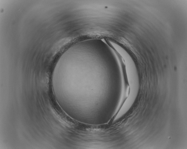 X0000088380448200706121149