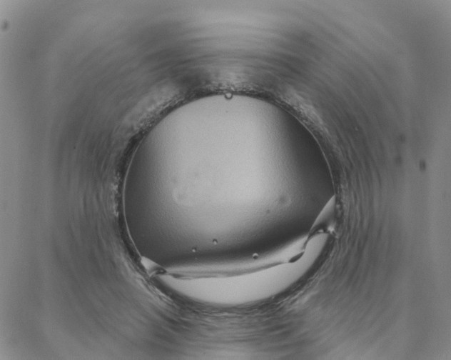 X0000088380450200706121149