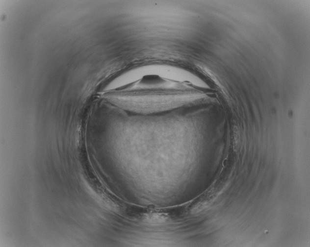 X0000088380451200706121149