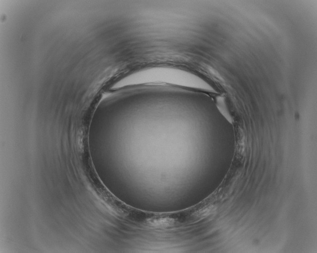 X0000088380452200706121149