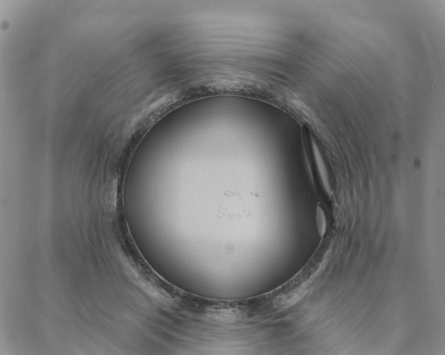 X0000088380454200706121149