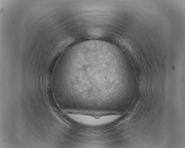 X0000088380455200706121149