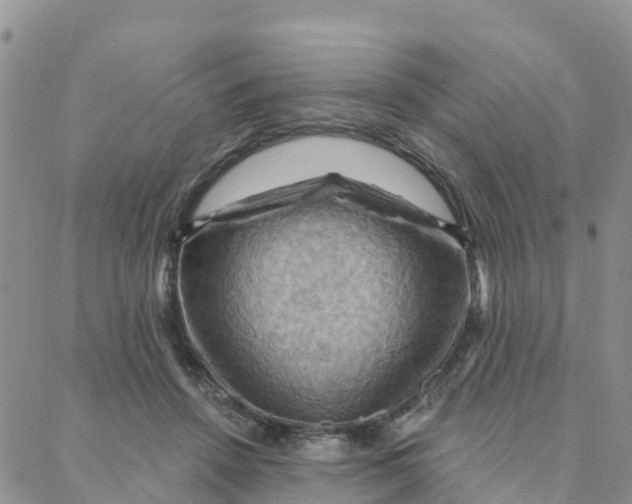 X0000088380456200706121149