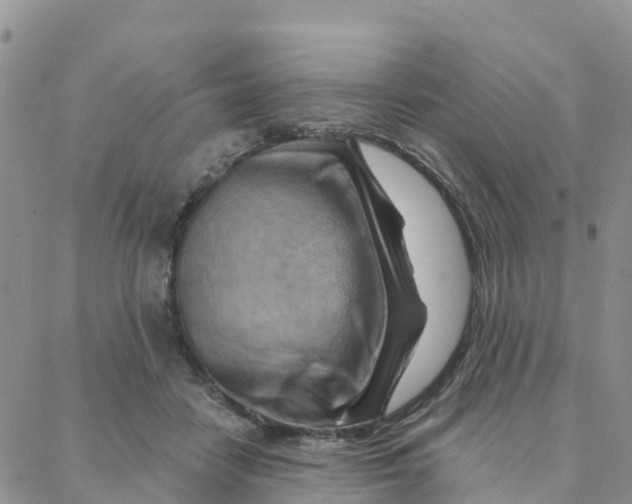 X0000088380458200706121149