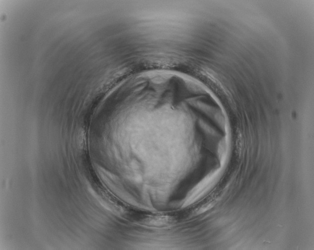 X0000088380459200706121149