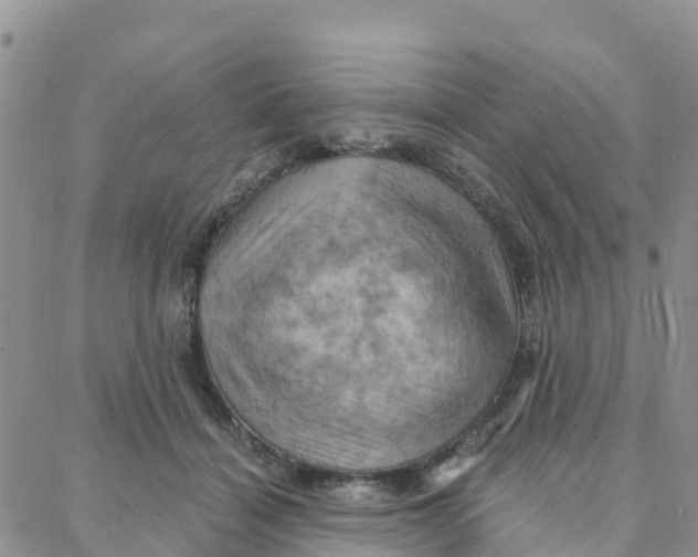 X0000088380460200706121149