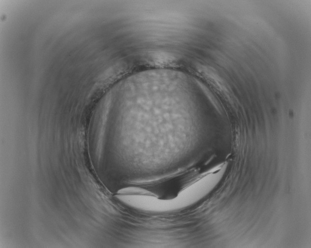 X0000088380461200706121149