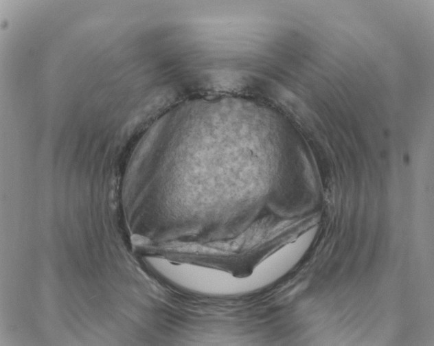 X0000088380462200706121149