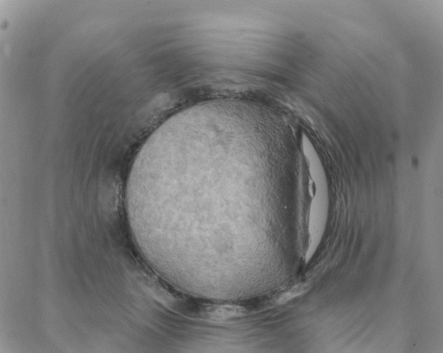 X0000088380463200706121149