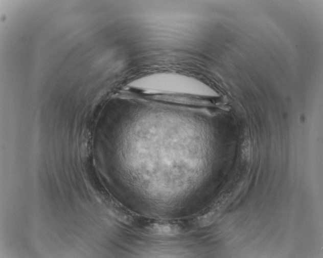 X0000088380464200706121149