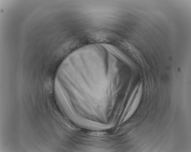 X0000088380465200706121149