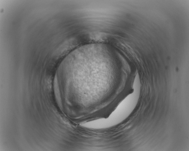 X0000088380466200706121149