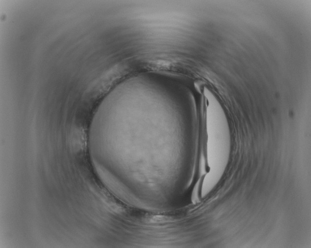 X0000088380467200706121149