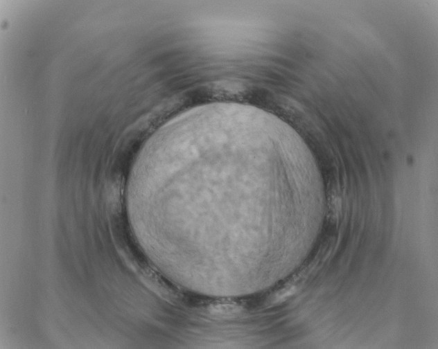 X0000088380468200706121149