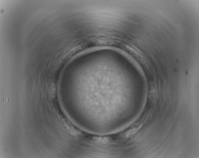 X0000088380469200706121149